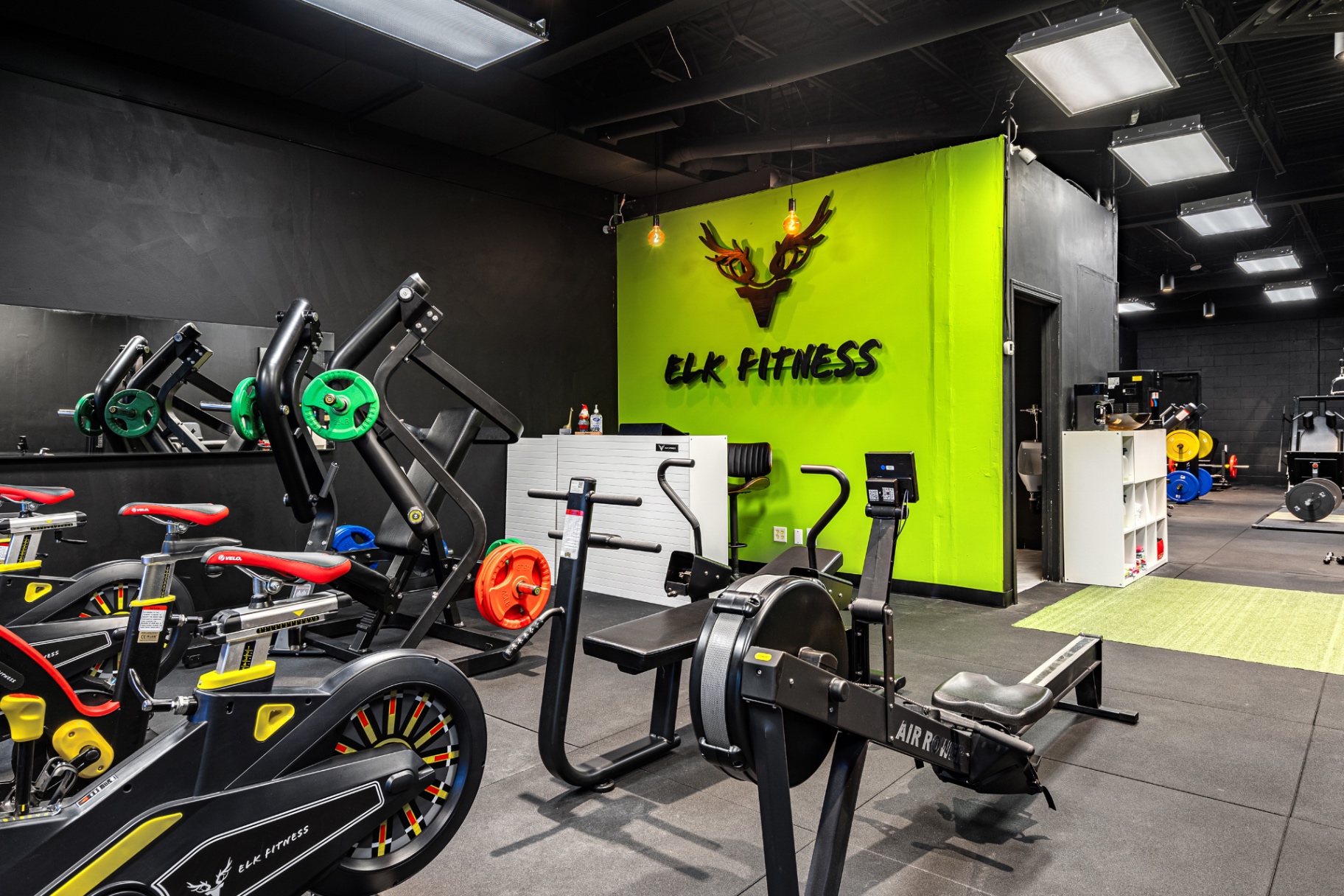 Elk Fitness signature lime-green logo wall with cardio and bike row