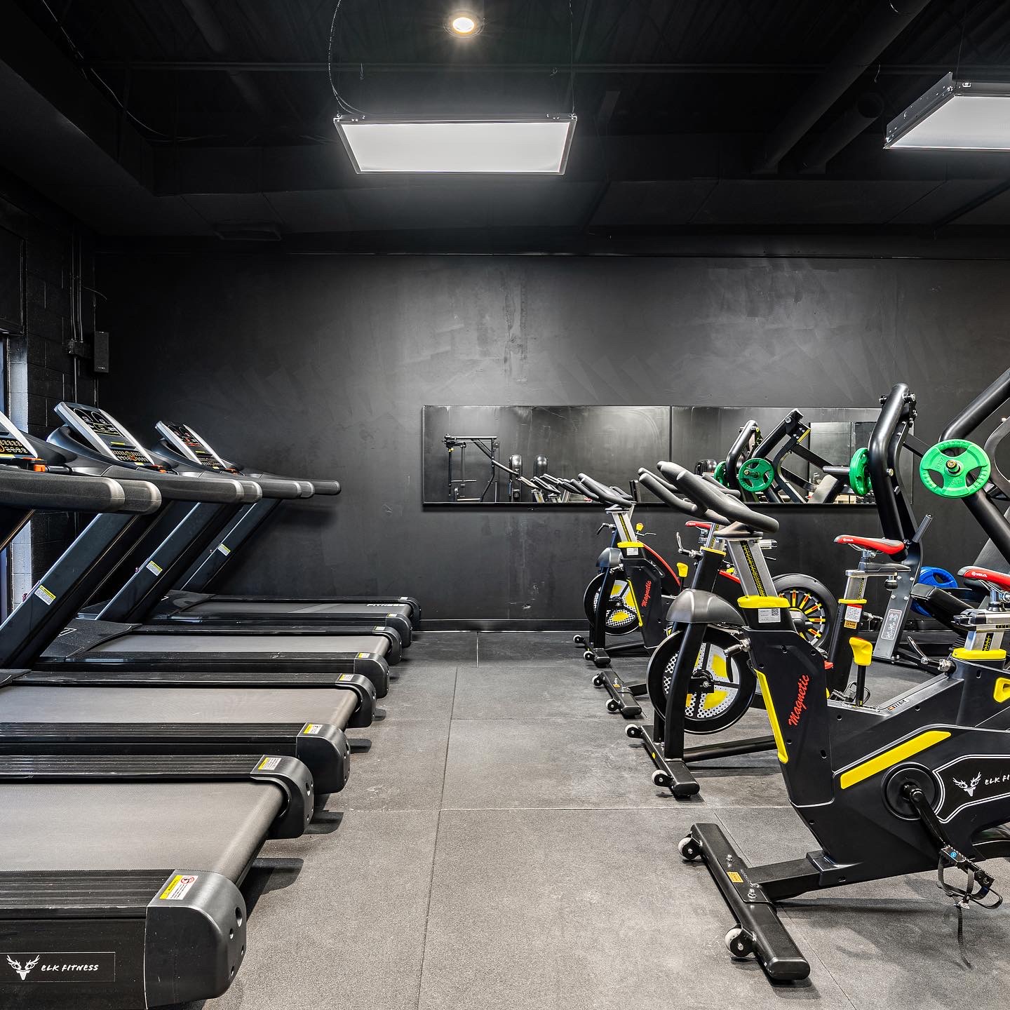 Treadmills and Magnetic spin bikes facing each other in cardio room